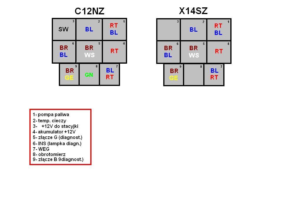 porwnaniec12nzzx14sz4it.jpg