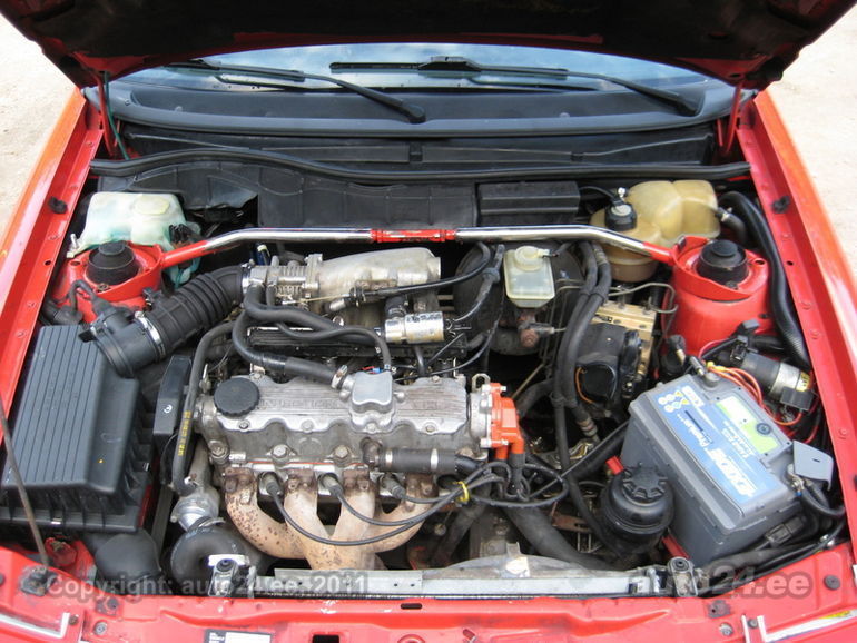 23210272.jpg