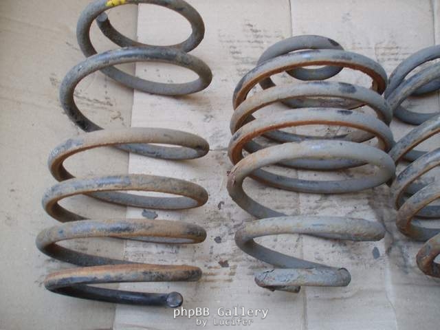 springi_2