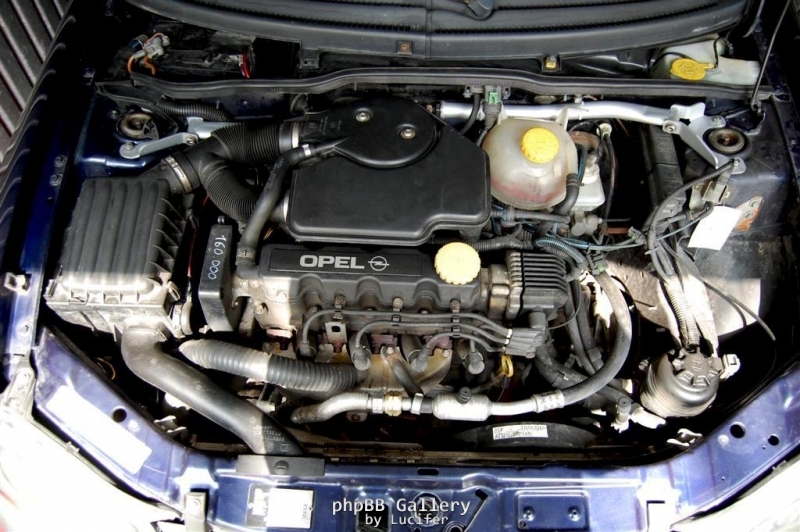 f914d244f8c96349 (Large)