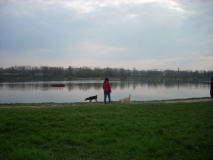 DSCN1319